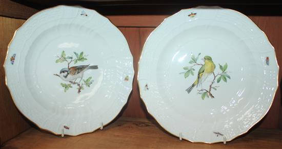 A set of twelve Meissen ornithological dinner plates, 19th century, 24cm